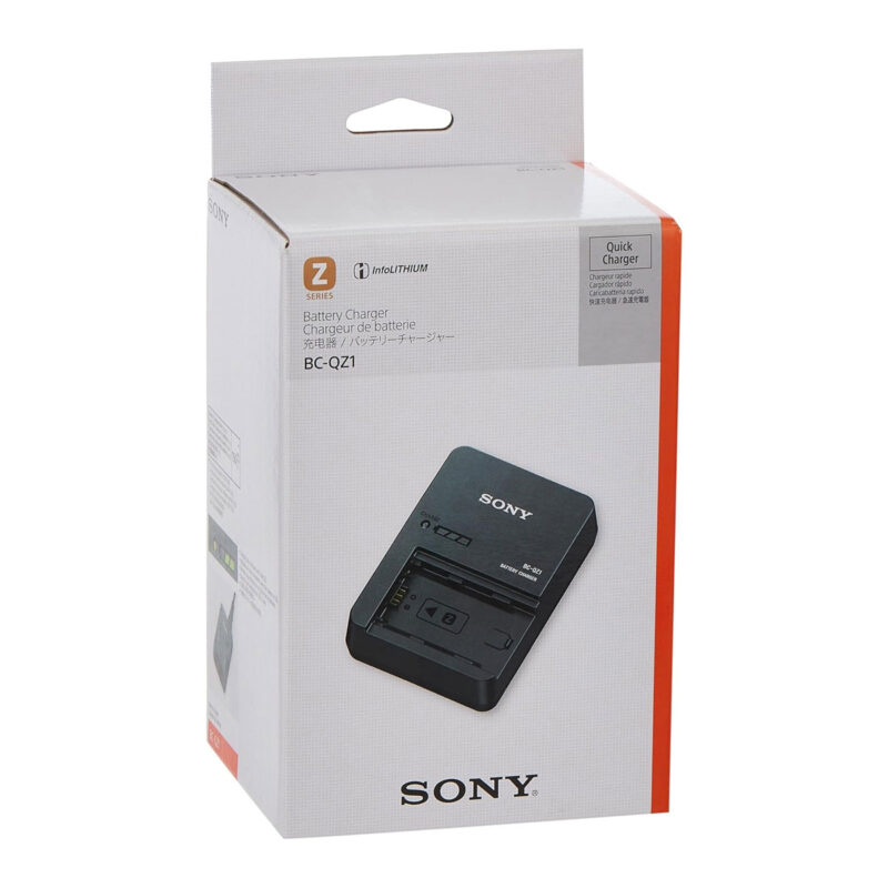 Sony battery charger